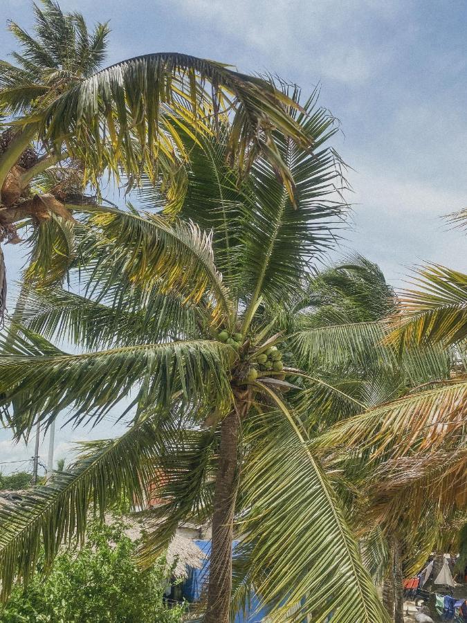 Mamallena Beachside Rincon Del Mar Exterior photo